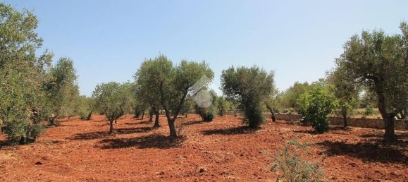 2 bedrooms Villa in Ostuni, Italy No. 263761 30