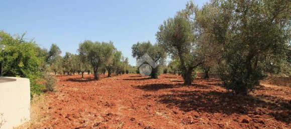 2 bedrooms Villa in Ostuni, Italy No. 263761 29