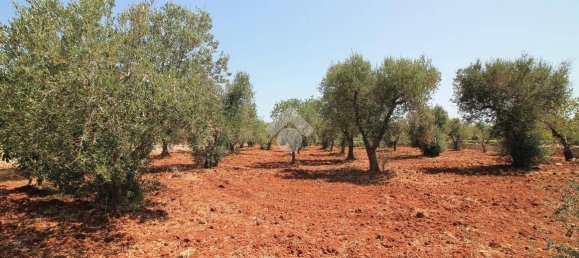 2 bedrooms Villa in Ostuni, Italy No. 263761 31