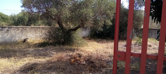 Terreno em Castelvetrano, Italy 500 m² N.º 309653 3