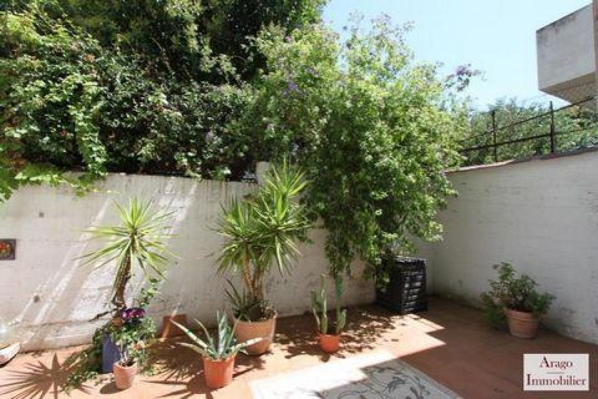 Studio in the Condo in Perpignan, France No. 32866