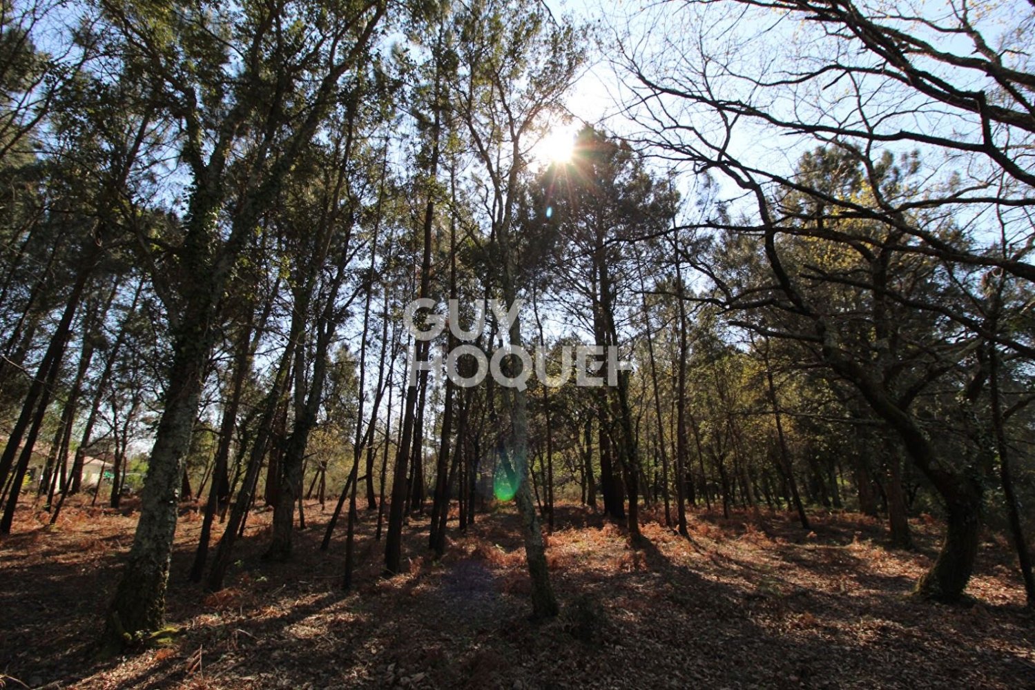 Grundstück in Seignosse, France 2352m², Nr. 218508