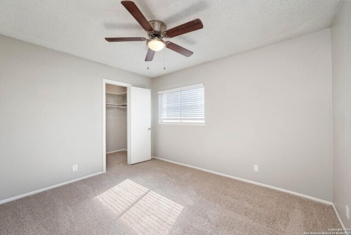 4 bedrooms House in San Antonio, USA No. 419340