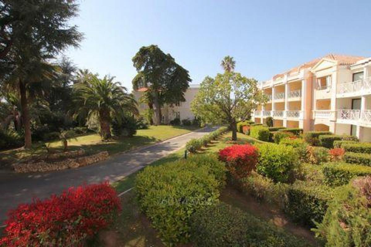 Estúdio em condomínio em Cannes, France N.º 13784