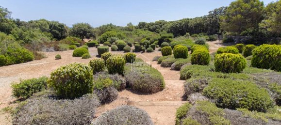 6 Schlafzimmer Villa in Sant Lluis, Spain, Nr. 5493 13