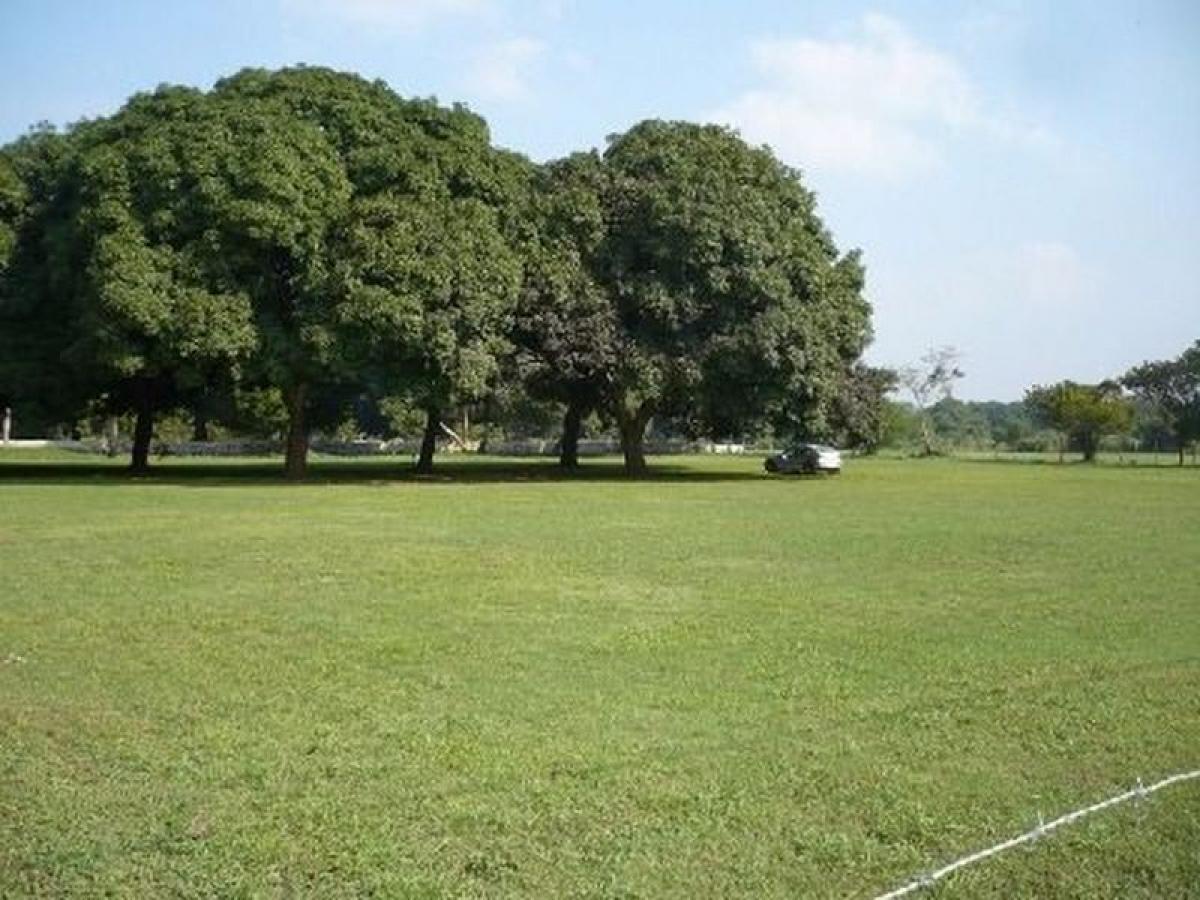  قطعة أرض في Veracruz, Mexico رقم 206468