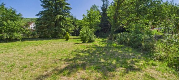 8 غرف نوم مزرعة في Donnersbergkreis, Germany رقم 240286 20