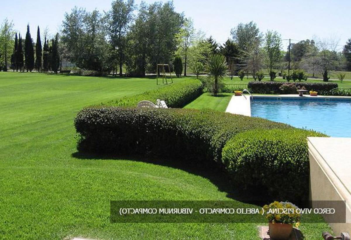  Land in Pilar, Argentina No. 48502