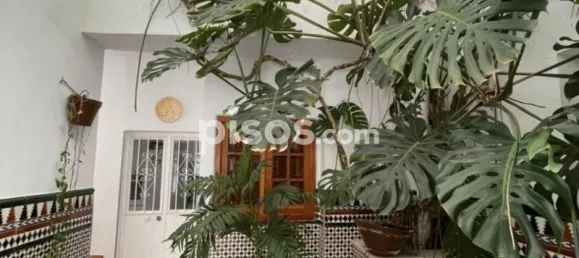 4 bedrooms House in Arcos de la Frontera, Spain No. 89659 37