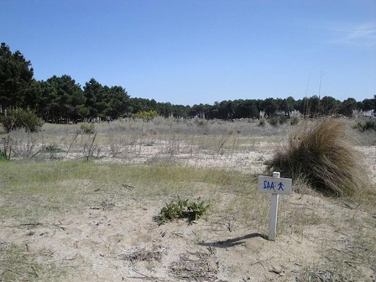  Land in Mar del Plata, Argentina No. 118323