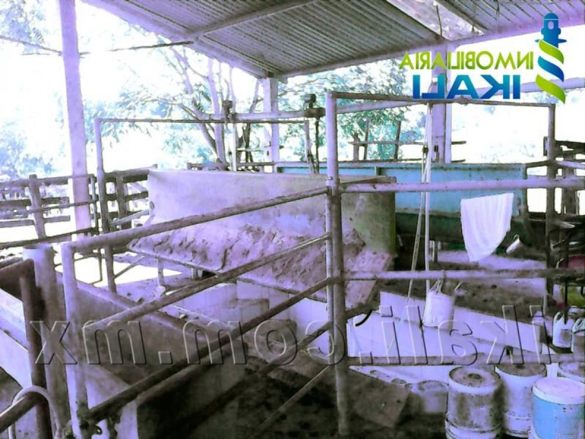 Terreno en Veracruz, Mexico No. 203955