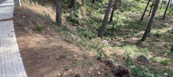  Land in Castellet i la Gornal, Spain No. 85025 7