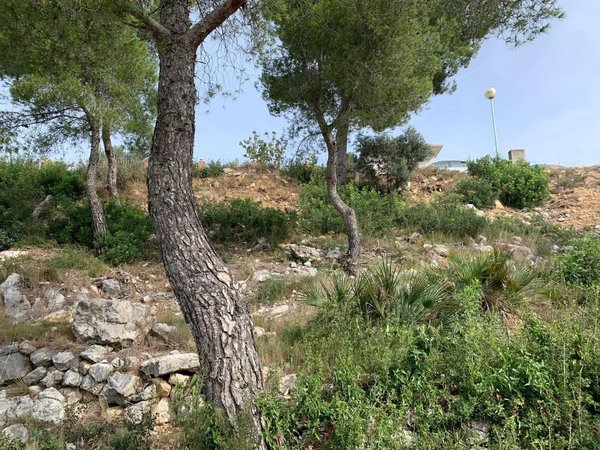  Land in Castellet i la Gornal, Spain No. 85025