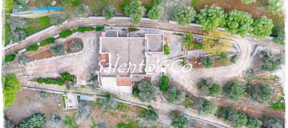 10 rooms Villa in Carovigno, Italy No. 113552 2