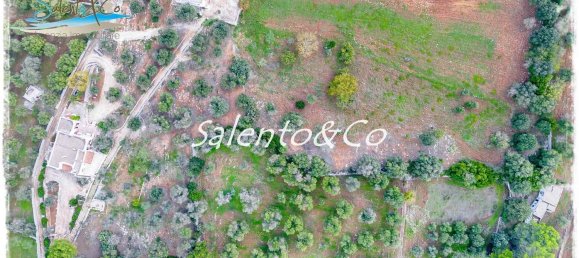 10 rooms Villa in Carovigno, Italy No. 113552 3