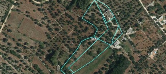 10 rooms Villa in Carovigno, Italy No. 113552 5