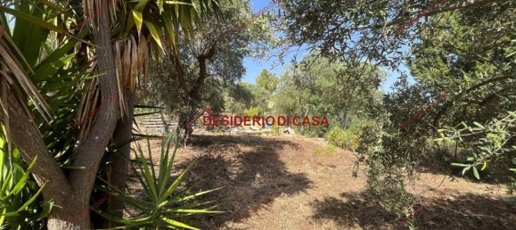 Terreno en Casteldaccia, Italy 1200 m² No. 326462 11