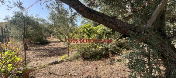 Terreno en Casteldaccia, Italy 1200 m² No. 326462 6