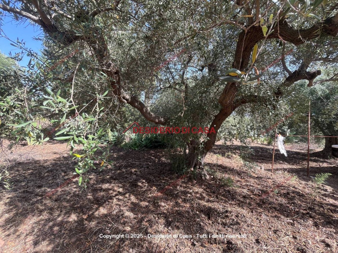 Terreno en Casteldaccia, Italy 1200 m² No. 326462