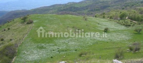 Дом с 6 спальнями в Берчето, Италия № 25387 10