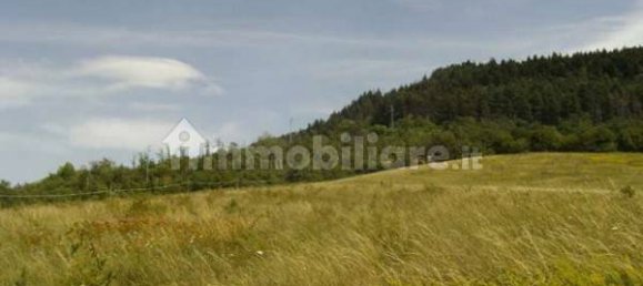 Дом с 6 спальнями в Берчето, Италия № 25387 6