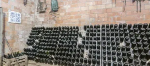 Дом с 10 спальнями в Торрелавит, Испания № 155492 13