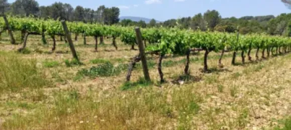 Дом с 10 спальнями в Торрелавит, Испания № 155492 23