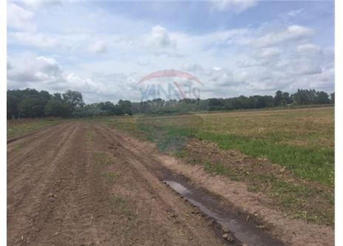  Land in Campo Creado, Argentina No. 50444