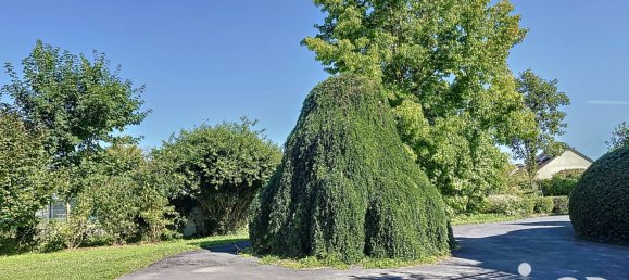 5 Schlafzimmer Haus in Sillery, France, Nr. 248922 24