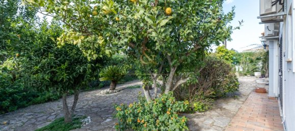 3 bedrooms Villa in Sao Bras de Alportel, Portugal No. 109616 25