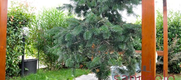 3 bedrooms Apartment in Pistoia, Italy No. 381807 20