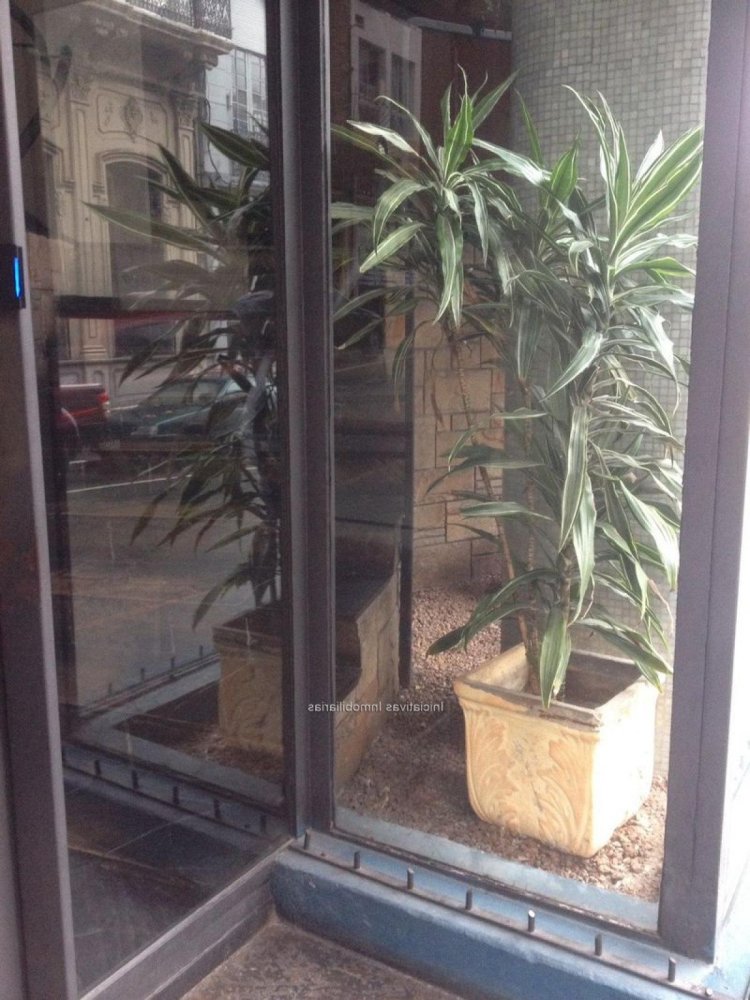 Studio in Montevideo, Uruguay, Nr. 7111