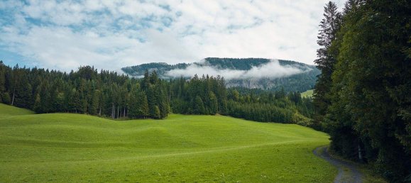 6 rooms House in Fieberbrunn, Austria No. 175166 6