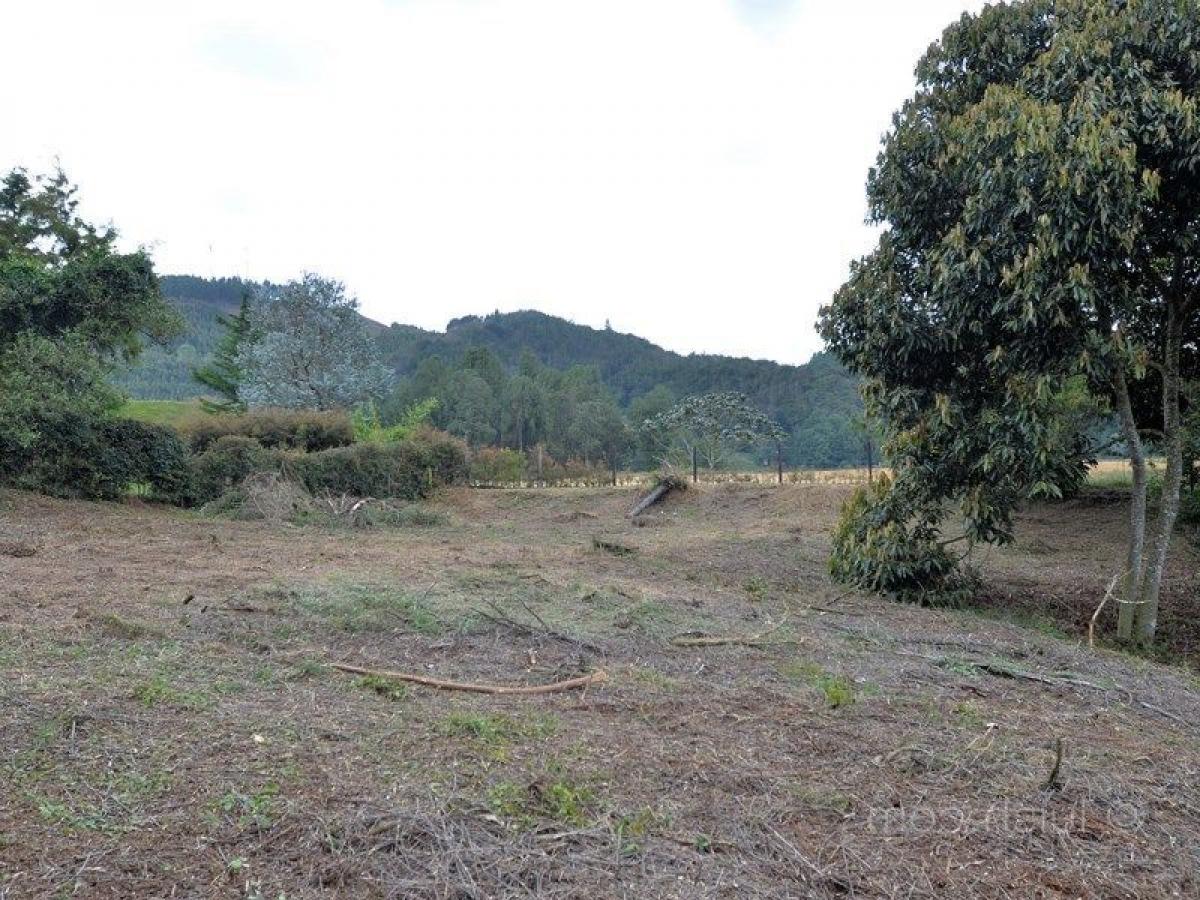  Land in Antioquia, Colombia No. 414