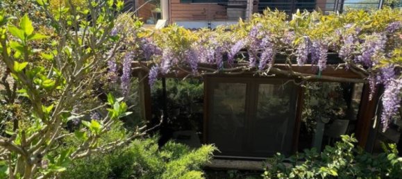 4 chambres Villa à Rome, Italy No. 152017 4