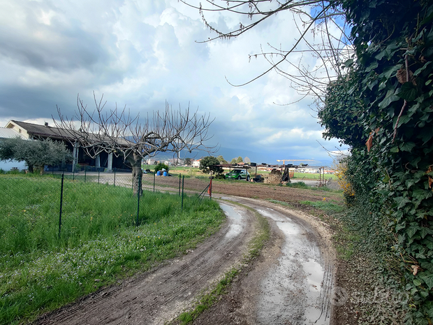 3000m² Land in Thiene, Italy No. 257290