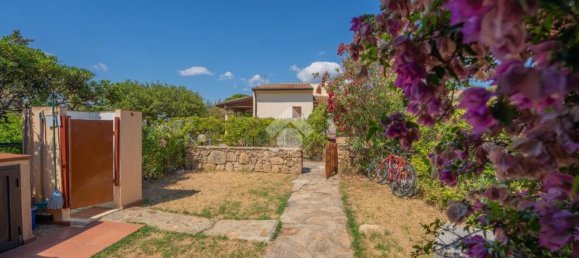 2 rooms House in San Teodoro, Italy No. 289368 3