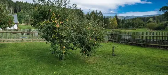 6-salle Maison à Vogtlandkreis, Germany No. 338478 4