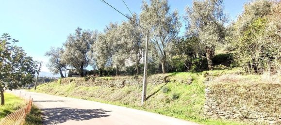 2 bedrooms House in Celorico de Basto, Portugal No. 161537 8