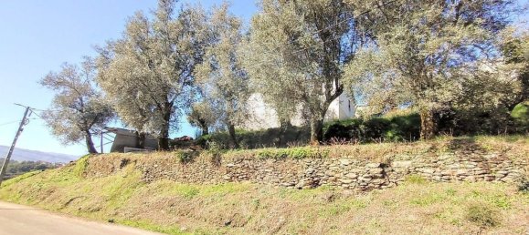 2 bedrooms House in Celorico de Basto, Portugal No. 161537 9