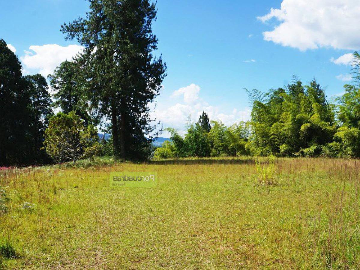 Terreno en Antioquia, Colombia No. 463