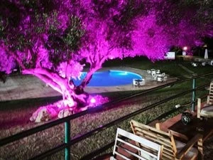 2 bedrooms House in Alvor, Portugal No. 320687