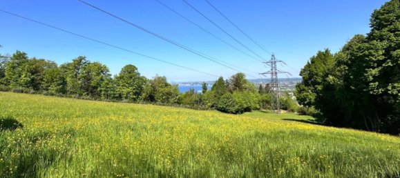  Land in Lochau, Austria No. 165618 3