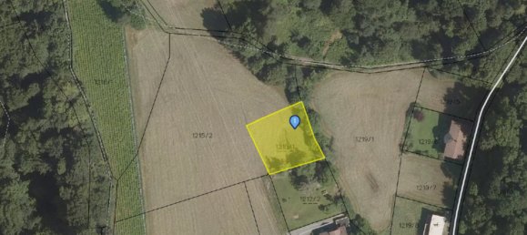  Land in Lochau, Austria No. 165618 7