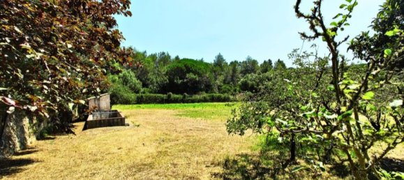 5 chambres Maison à Sintra, Portugal No. 137859 39