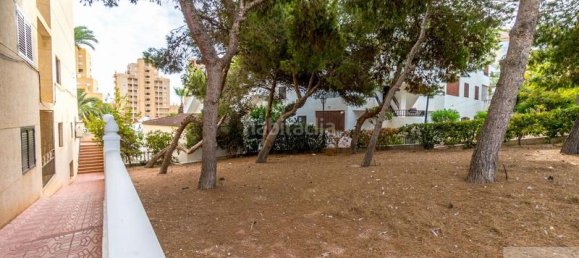 Пентхаус с 2 спальнями в Торревьеха, Испания № 81975 25