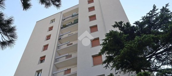 Квартира с 3 спальнями в Триест, Италия № 346186 43