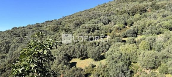 5 Schlafzimmer Villa in Propriano, France, Nr. 302901 11