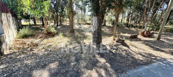 Grundstück in Leiria, Portugal 2164m², Nr. 339633 5