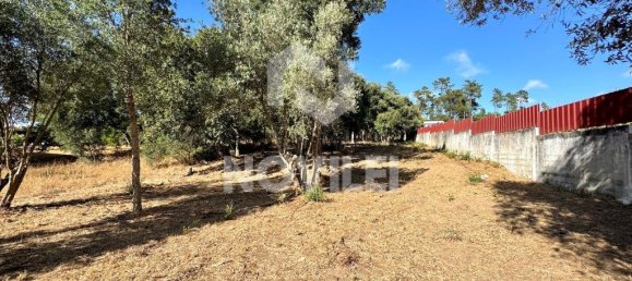 Grundstück in Leiria, Portugal 2164m², Nr. 339633 6